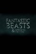 Fantastic Beasts: The Secrets of Dumbledore Poster