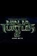 Teenage Mutant Ninja Turtles: Out of the Shadows Poster