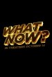 Kevin Hart: What Now? Poster