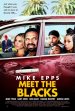 Meet the Blacks poster