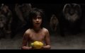 Neel Sethi