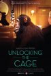 Unlocking the Cage Poster