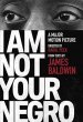 I am Not Your Negro Poster