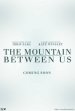 The Mountain Between Us Poster