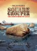 Square Grouper poster