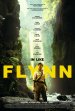 In Like Flynn poster