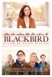 Blackbird poster