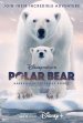 Polar Bear Poster