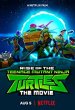 Rise of the Teenage Mutant Ninja Turtles: The Movie Poster