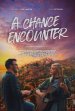 A Chance Encounter Poster