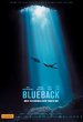 Blueback Poster