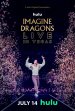 Imagine Dragons Live in Vegas poster