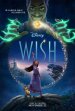 Wish poster