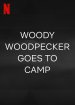 Woody Woodpecker Goes to Camp Poster