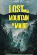 Lost on a Mountain in Maine poster