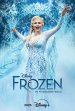 Frozen: The Hit Broadway Musical poster