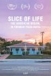 Slice of Life: The American Dream. In Former Pizza Huts. poster