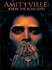 Amityville: Where The Echo Lives poster