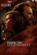 Perfectly Good Moment Poster