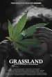 Grassland Poster