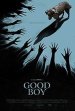 Good Boy Poster