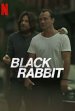 Black Rabbit (series) Poster