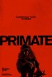 Primate Poster