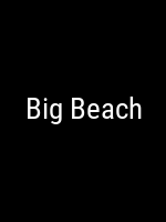 Big Beach Studio Company Logo Poster