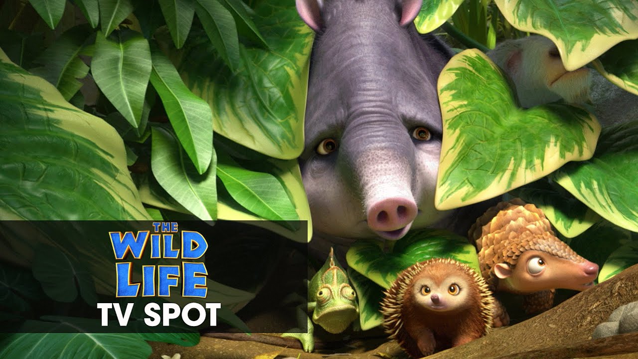 The Wild Life TV Spot: Work Together Clip Image