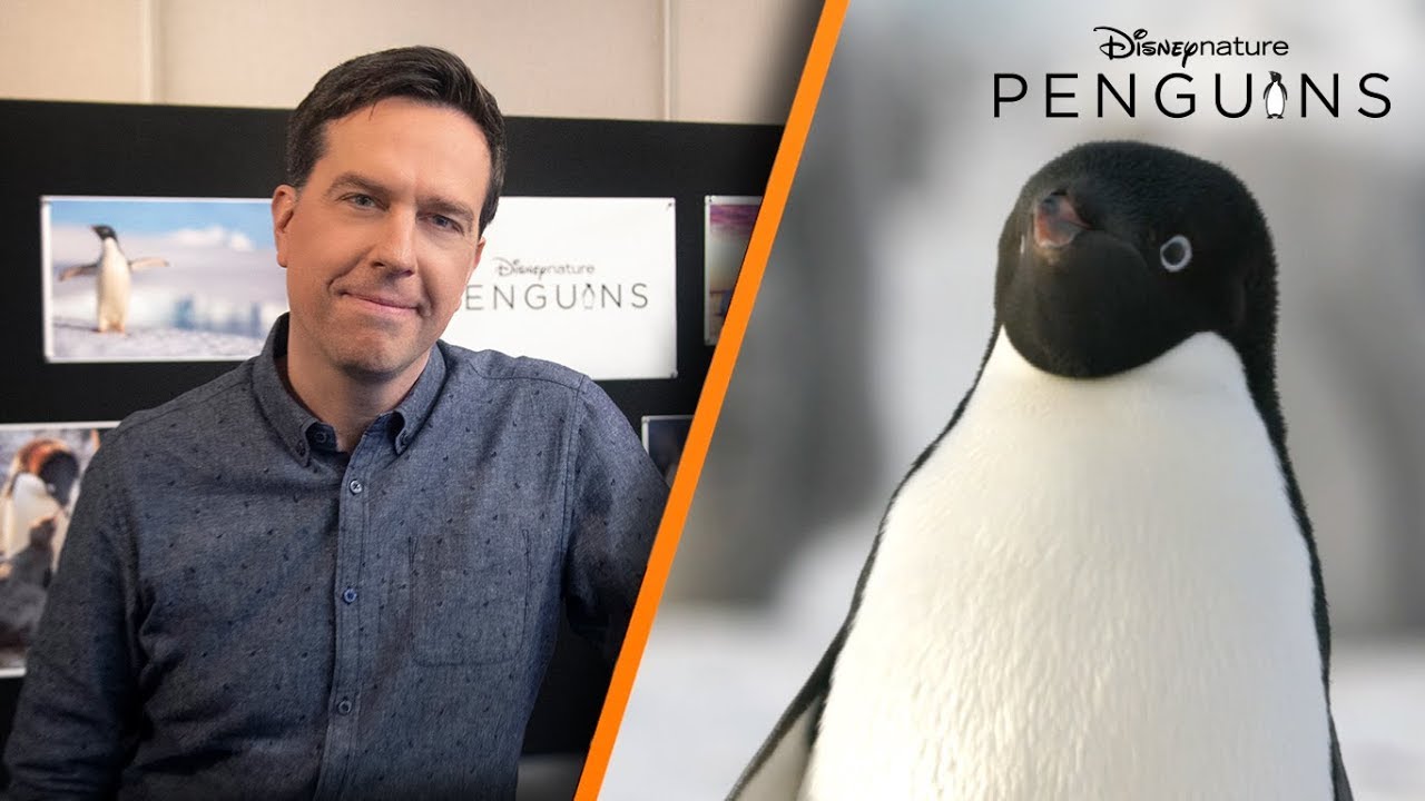  Ed Helms Narrator Clip Image