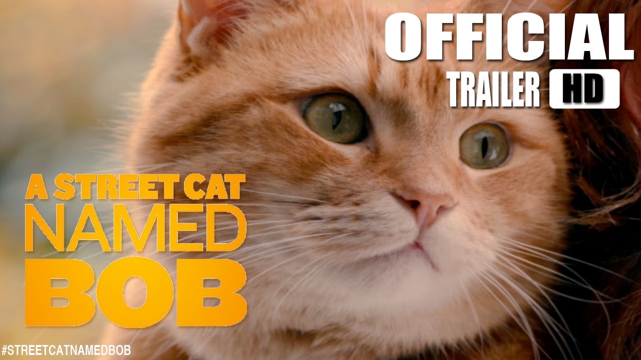 Featuring A Street Cat Named Bob (2016) theatrical trailer