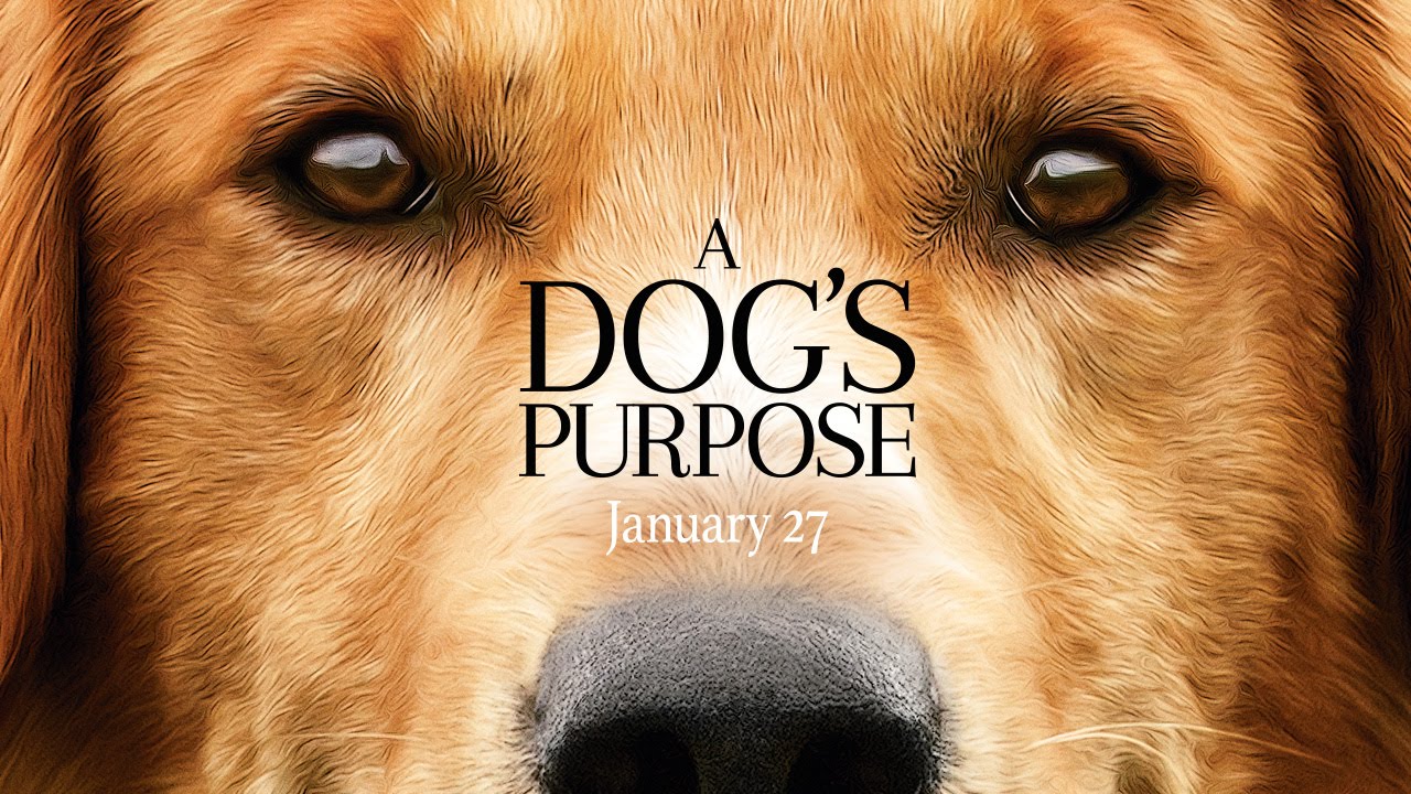 A Dog's Purpose Theatrical Trailer Clip Image