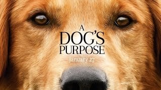 Thumbnail for A Dog's Purpose