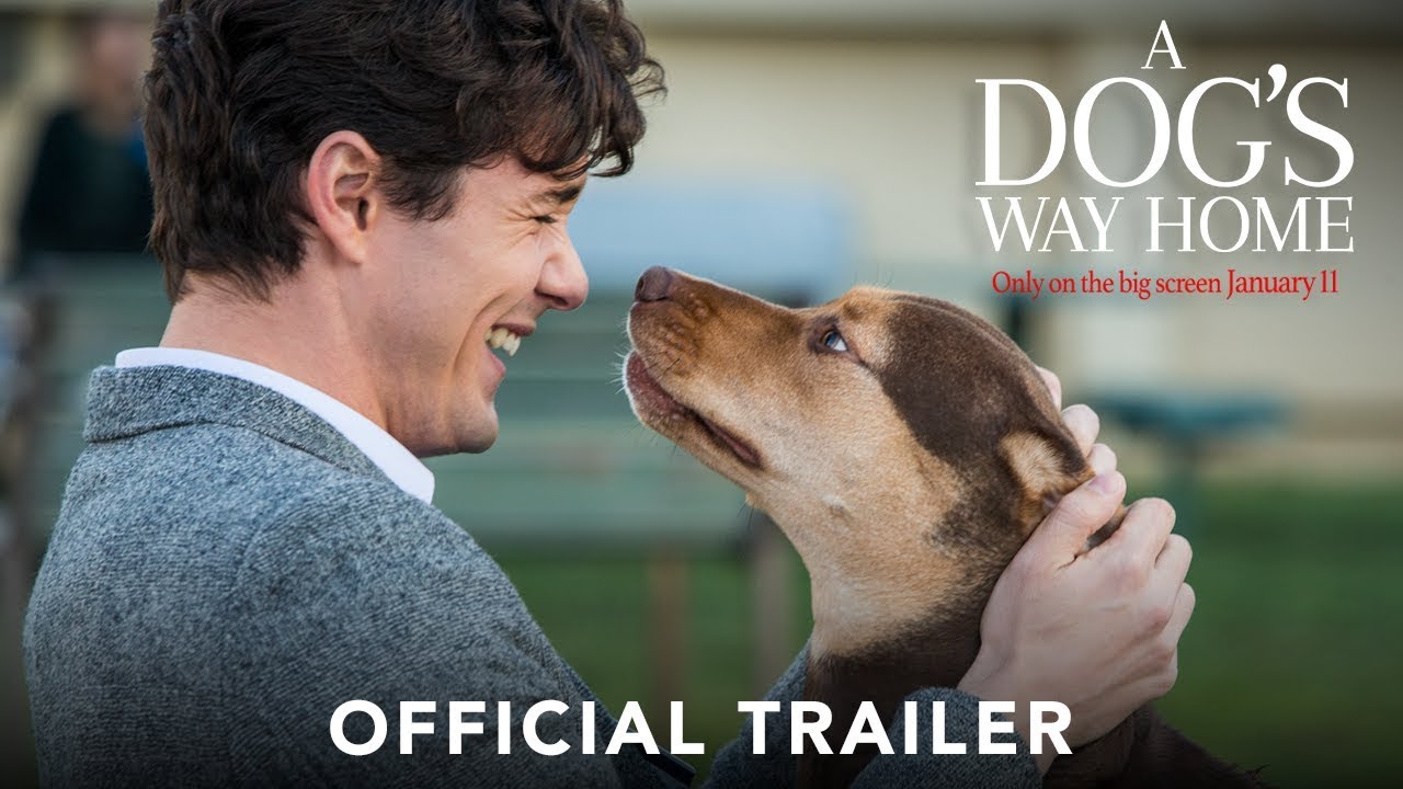 A Dog's Way Home Official Trailer Clip Image