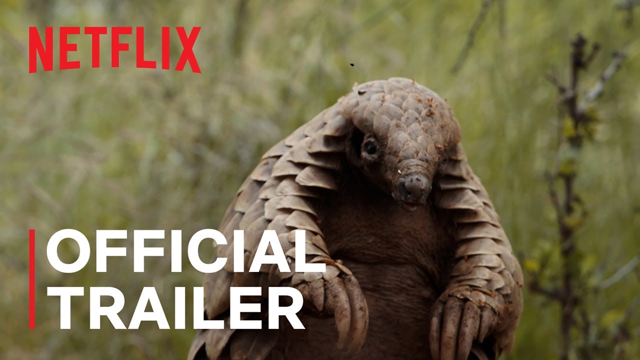 Featuring Pangolin: Kulu’s Journey (2025) official trailer