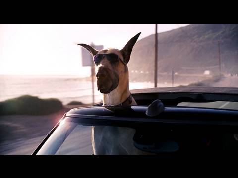 Featuring Marmaduke (2010) theatrical teaser