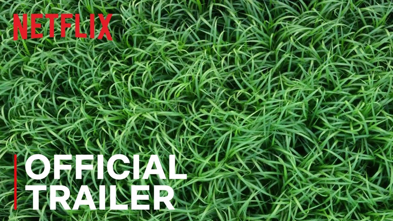 Featuring In The Tall Grass (2019) official trailer