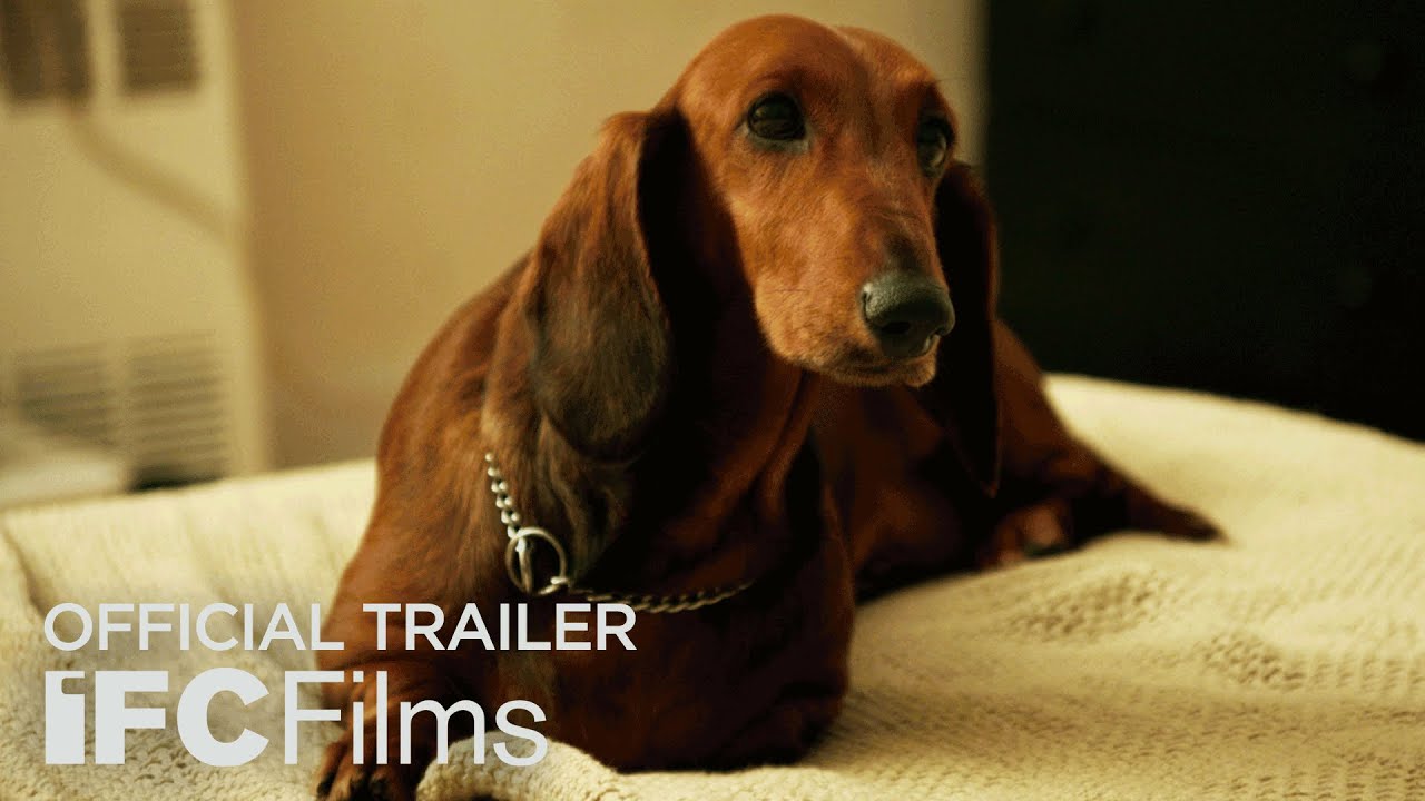 Featuring Wiener-Dog (2016) theatrical trailer