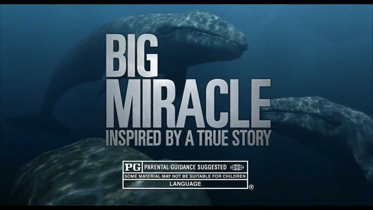 Big Miracle TV Spot: 'Amazing' Clip Image