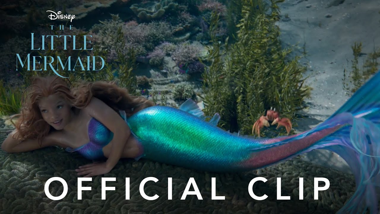  Clip: Under The Sea Clip Image