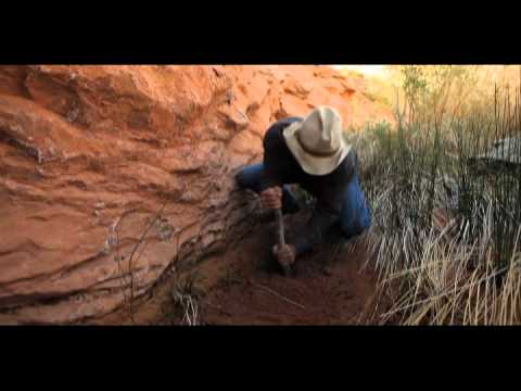 Featuring 127 Hours (2010) featurette: outdoors expert