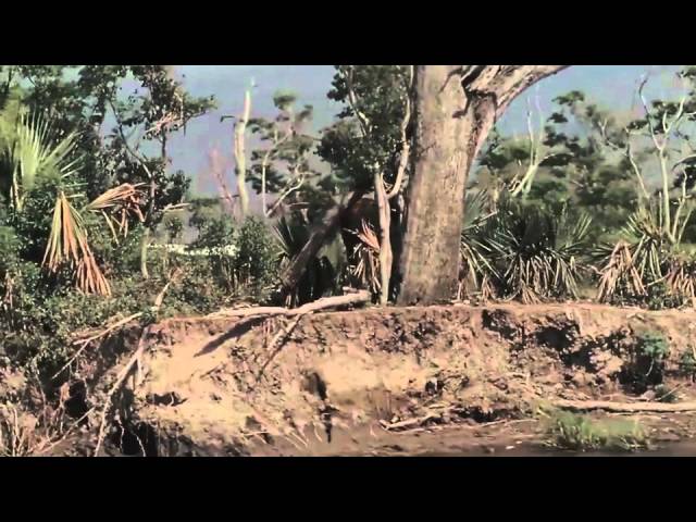 Featuring Beasts of the Southern Wild (2012) featurette: 'the story' 