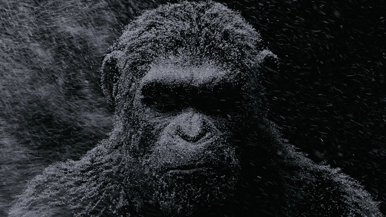 War for the Planet of the Apes Teaser Trailer Clip Image