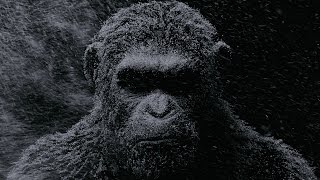 Thumbnail for War for the Planet of the Apes