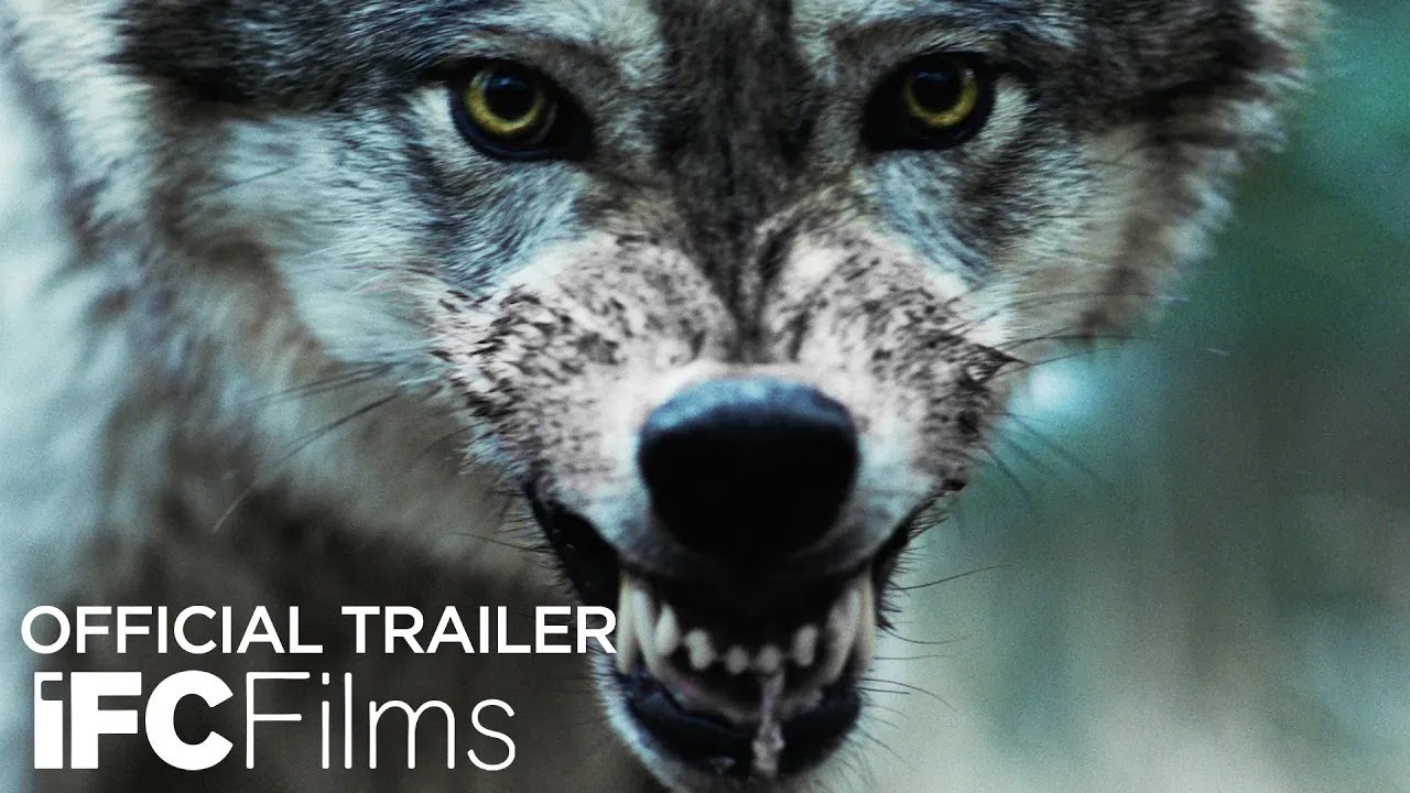 Featuring Out Come the Wolves (2024) red band trailer