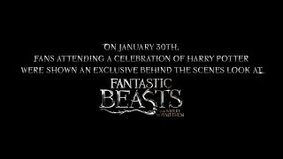 Thumbnail for Fantastic Beasts and Where to Find Them