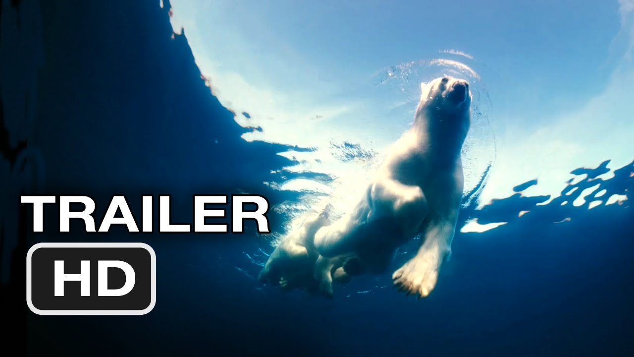 To The Arctic 3D Theatrical Trailer Clip Image