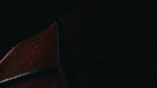 Watch Trailer - id #20961