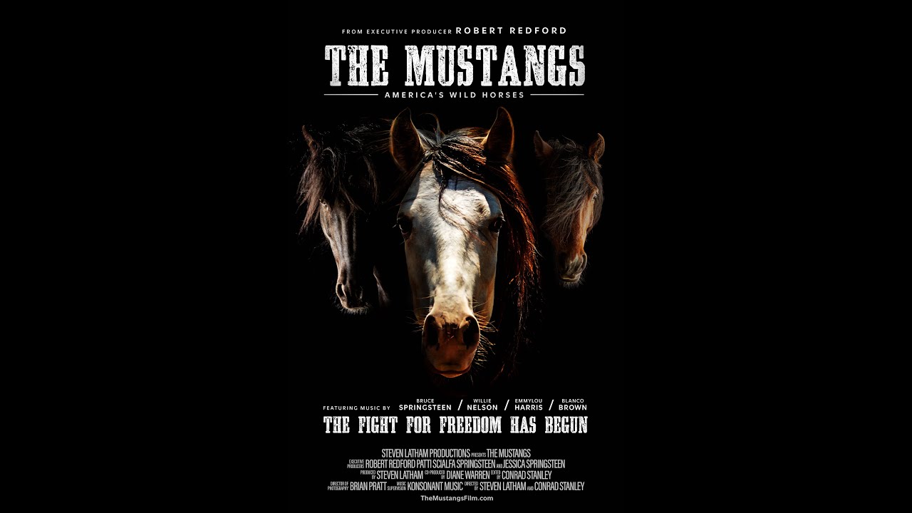 The Mustangs: America's Wild Horses Official Trailer Clip Image