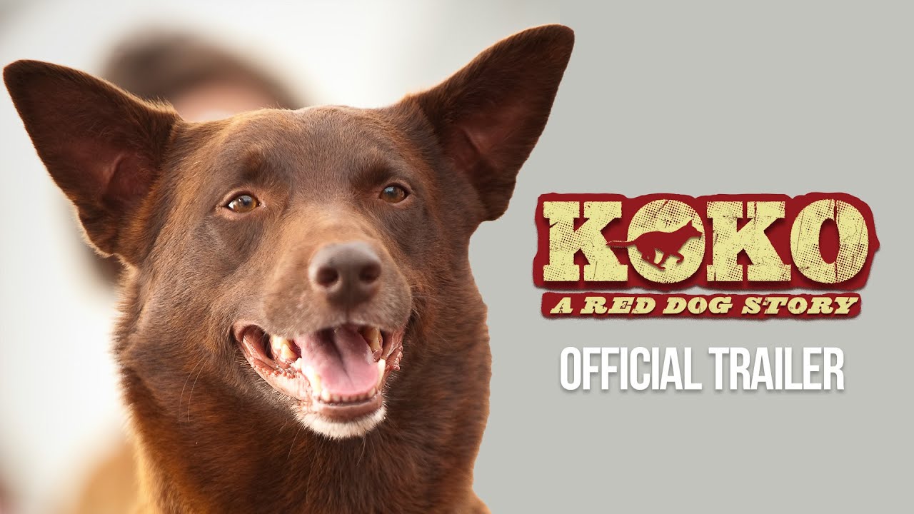 Featuring Koko: A Red Dog Story (2023) official trailer